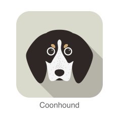 Coonhound dog face portrait flat icon design N2