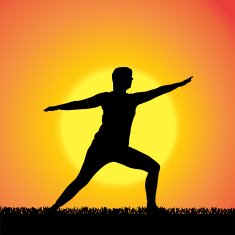 Vector silhouette of woman N488