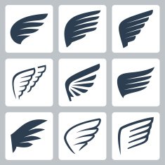 Vector wings icons set