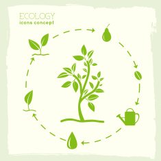 cycle eco infographic background concept N3