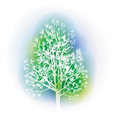 Illustration With Dill Bunch