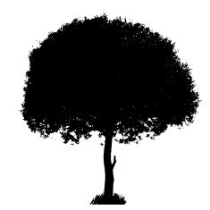Tree Silhouette Isolated on White Backgorund Vecrtor Illustrati N57