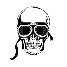 skull illustration N15