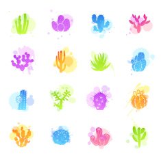 Stains Icons - Cactuses Cacti