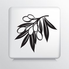 Square Icon With Olive Branch N10