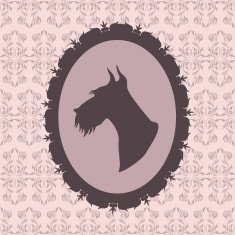 Scottish terrier N3