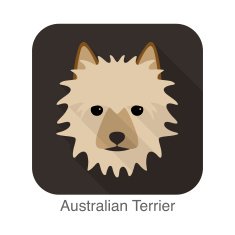 Australian Terrier breed flat icon design