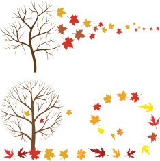 Autumn Tree N51