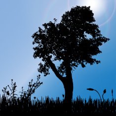 Vector silhouette of tree N37