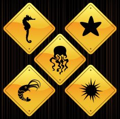 Yellow Signs - Fishes N3