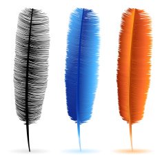 Feathers N45