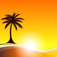 Palm Tree Sunset Background
