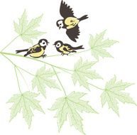 Birds on maple branch