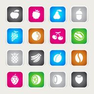 Multicolor Icons - Fruits