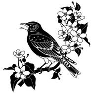 bluebird and apple blossoms