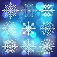 snowflakes set N16