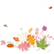 Falling Leaves Design