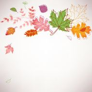 Leaves Arrangement
