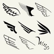 Wings set on white background vector