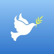 dove of peace N7