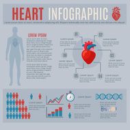 Human Heart Infographics N2