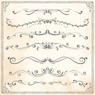 Set of vintage vector dividers N15