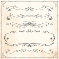 Set of vintage vector dividers N16