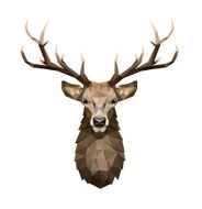Deer polygonal Illustration Low poly deer with horns N3
