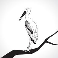 Stork N29