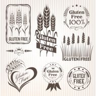 Gluten free design elements N8