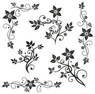 Flowers leaves