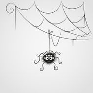 Cute Spider N3