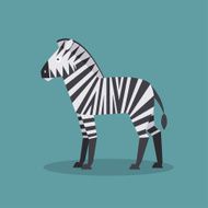 Zebra Vector illustration N5