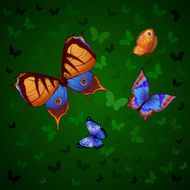 Futterflies
