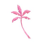 Summer palm abstract isolated on a white backgrounds N4