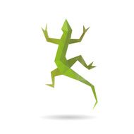 Lizard abstract isolated on a white background N2