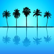 Incredibly Detailed Palm Trees N4