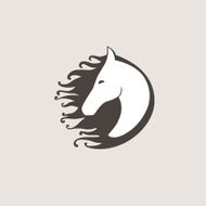 Vector logo horse template for your business Pegasus creative icon N3