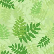 Seamless pattern with green rowan leaves Vector illustration