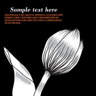 Black and white silhouette of tulip