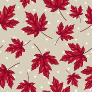 Red Maple Leaf Pattern