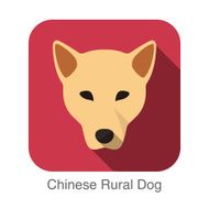 Chinese rural dog face flat icon series N3