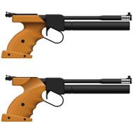 Air Pistol