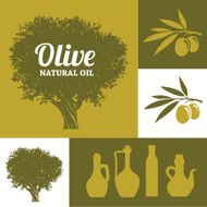 Olive Tree N18