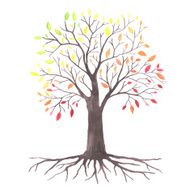 lovely autunm tree N3