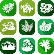 vector set of jungle flat icons with tropical plants
