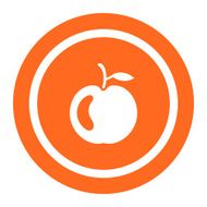 Apple Icon N26