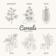Set of six cereals N2