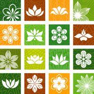 Floral icons N3