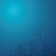 the night sky N2